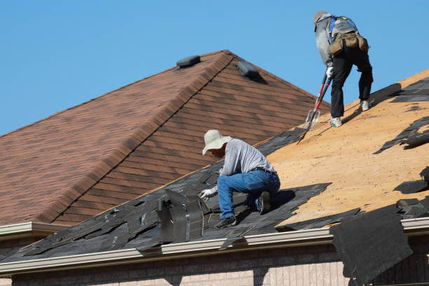 Best Roof Ventilation Installation  in East Valley, NV