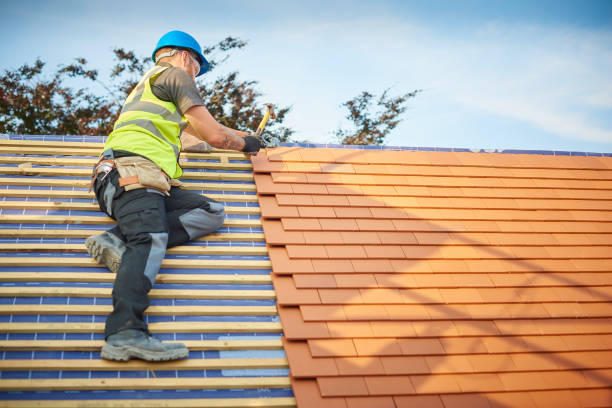 Best Sheet Metal Roofing  in East Valley, NV